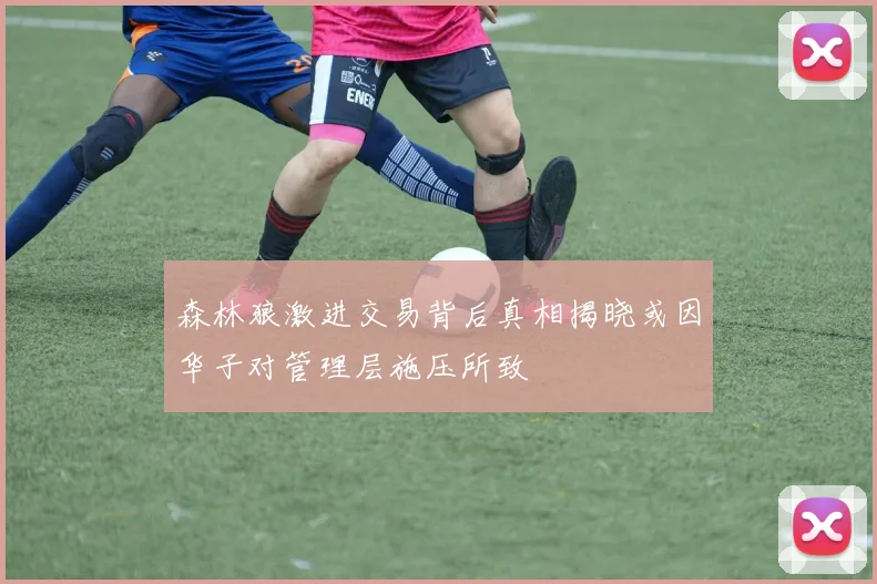 森林狼激进交易背后真相揭晓或因华子对管理层施压所致