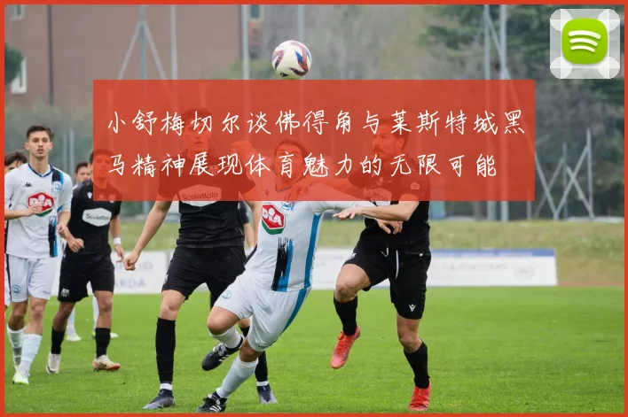 小舒梅切尔谈佛得角与莱斯特城黑马精神展现体育魅力的无限可能